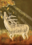 Cerf majestueux sous les feuilles d'automne